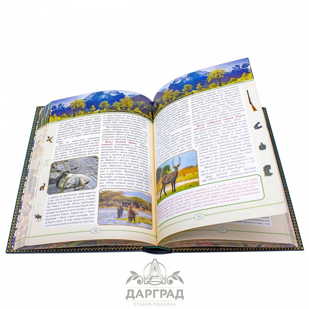 Подарочная книга «Русская охота» Сабанеев - №4